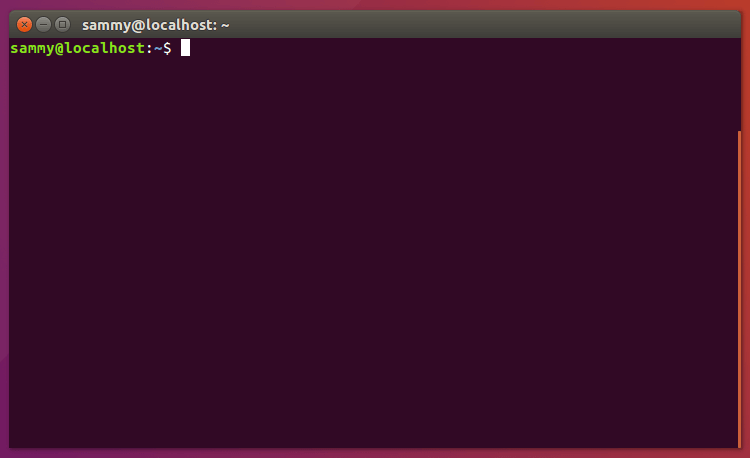 Ubuntu primer paso terminal