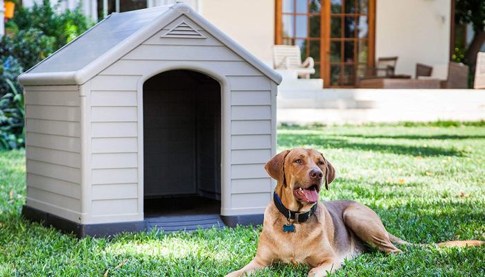 casa para perros grandes