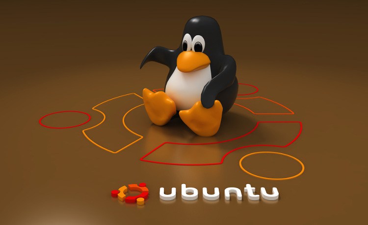 instalar el servidor ubuntu