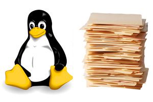 enumerar los 10 archivos mas grandes en linux